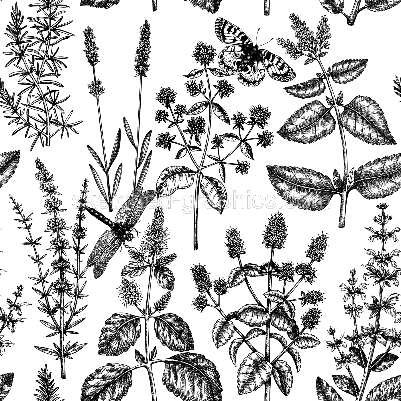 Mints and balms seamless pattern. Hand sketched aromatic and medicinal herbs background. Herbal tea ingredients. Mint plants for cosmetics, perfumery, textile, wrapping, packaging, fabric.  Illustration